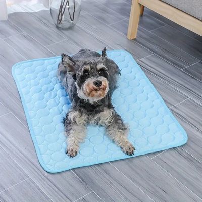 tapis-rafraichissant-chien-fraicheur