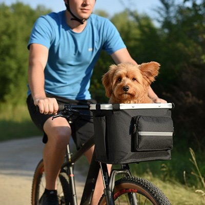 vélo panier chien voyage