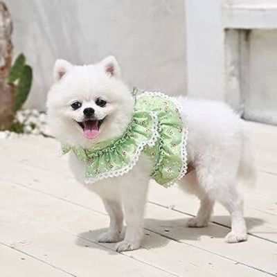 vetement-chien-coton