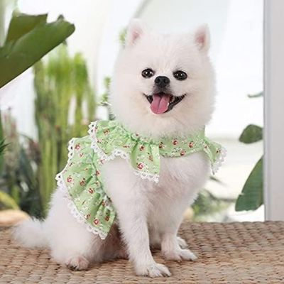 vetement-chien-lavable