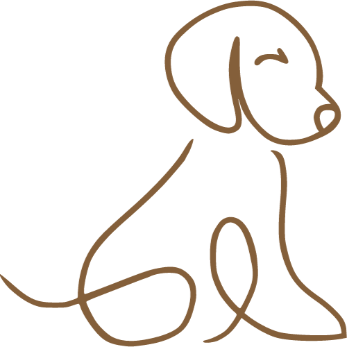 woufchien-image10